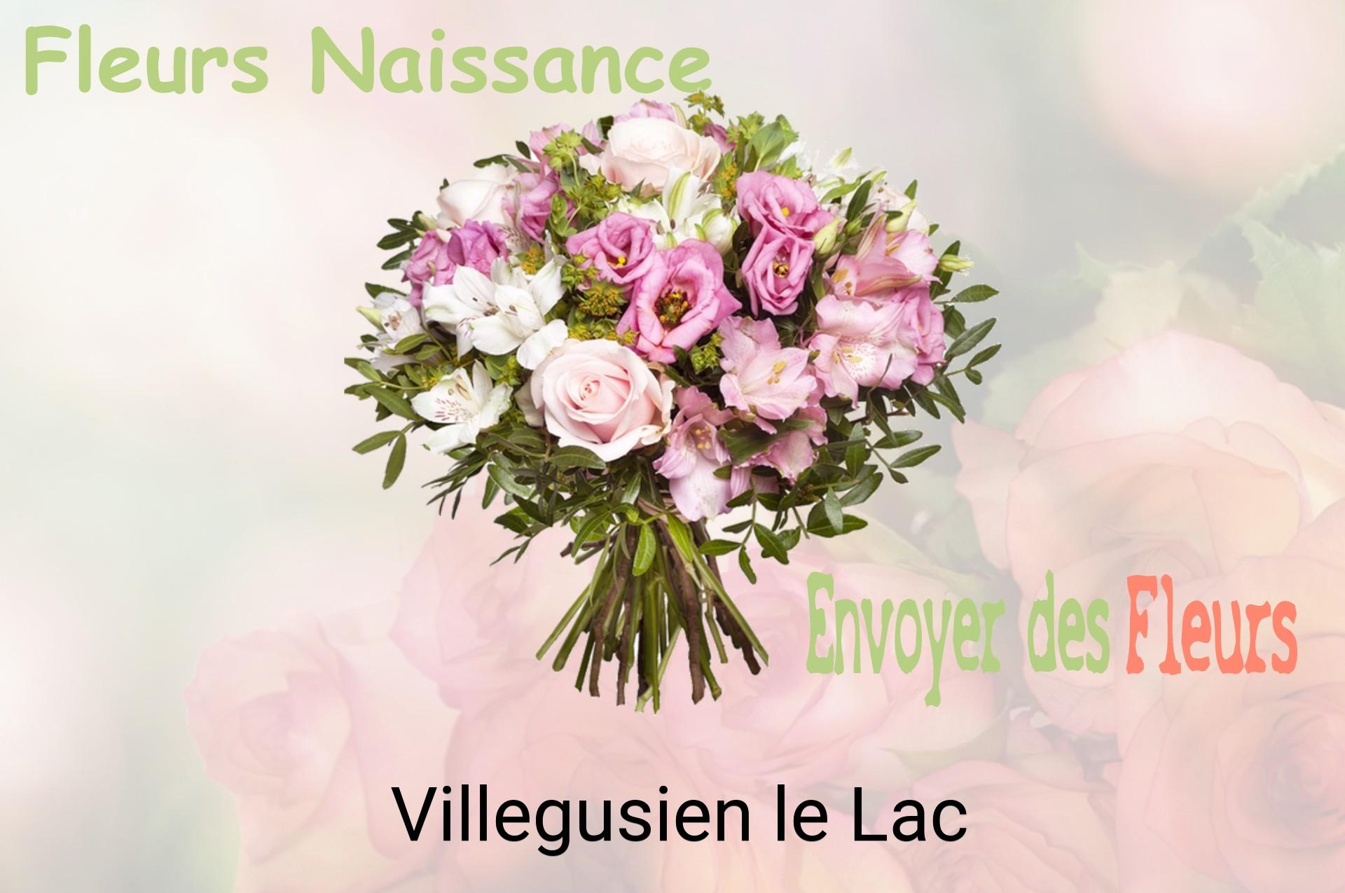 Bouquet de fleurs de naissance livré à Villegusien-le-Lac