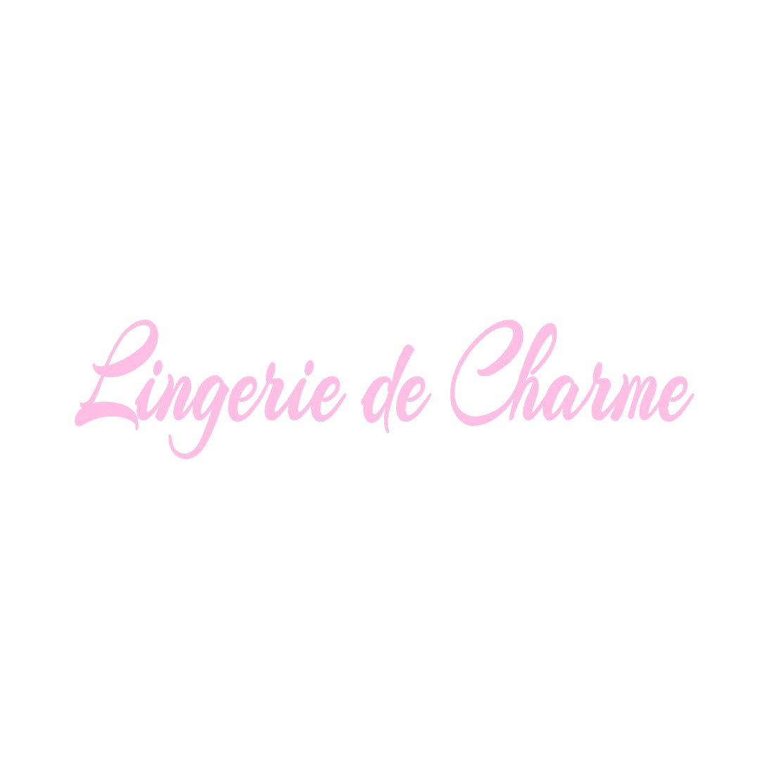 LINGERIE DE CHARME VILLEGUSIEN-LE-LAC